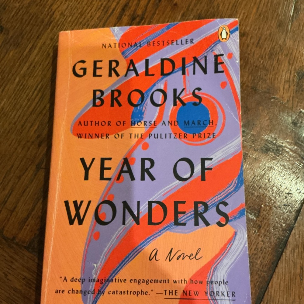 Year of wonders paperback book by Geraldine Brooks.